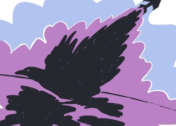 NYT Connections Answers for Nov. 1, 2025