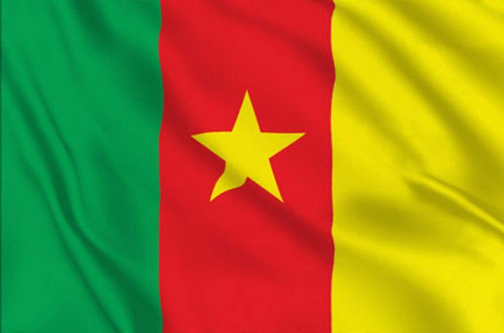 Flag of Cameroon