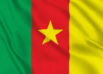 Flag of Cameroon