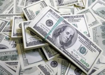 هدوء في سوق الصرف.. الدولار مستقر في مصر