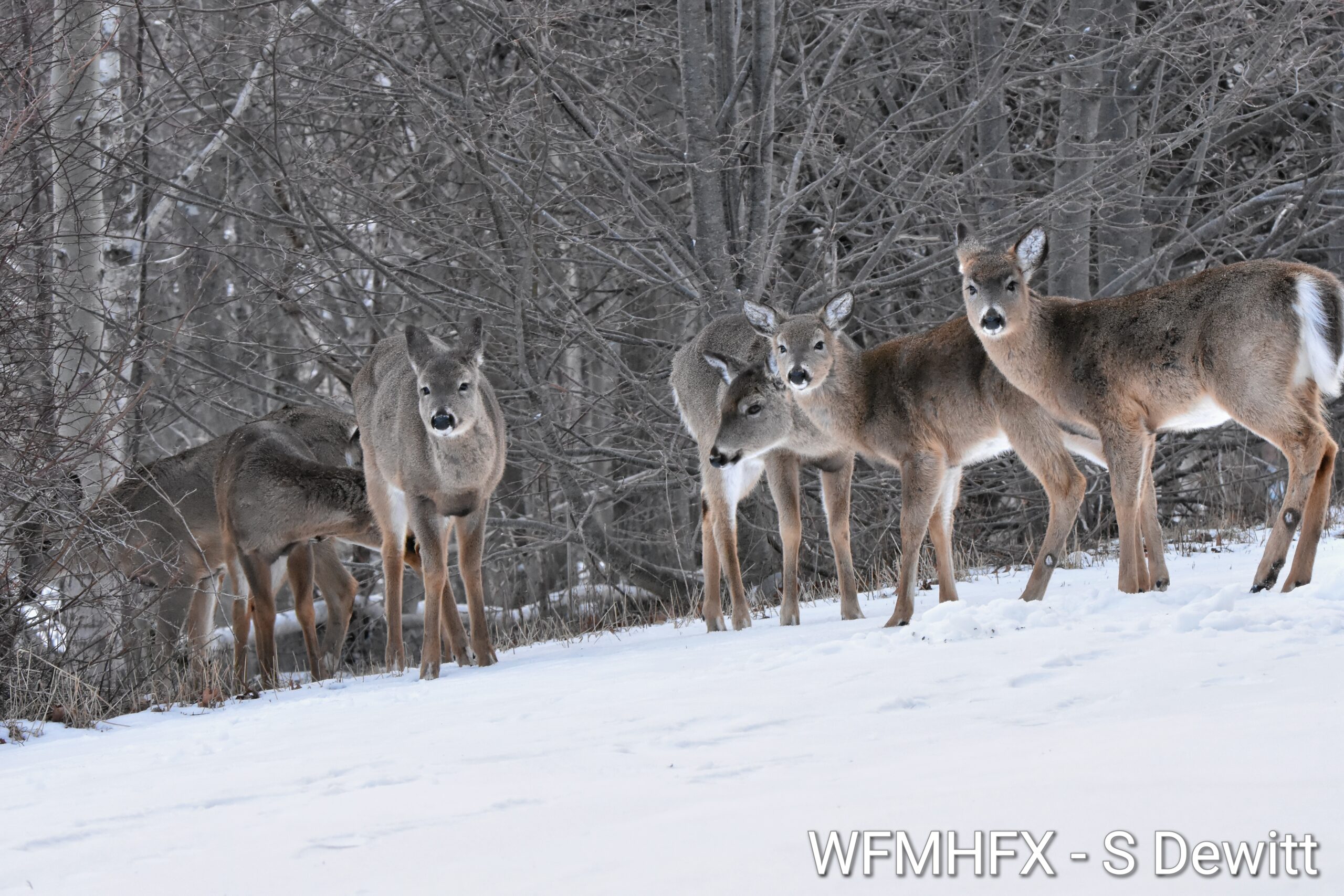 Todays weather for the Halifax area – Waterfront Media Halifax