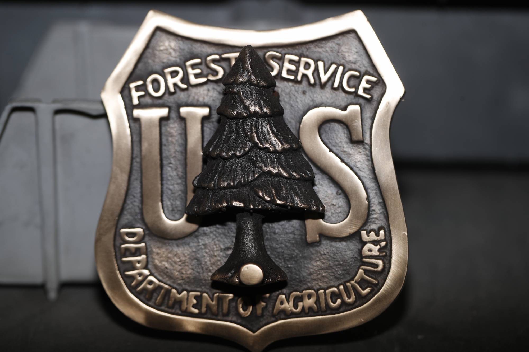 Forest Service will move headquarters to Salt Lake City, as part of ‘sweeping’ reorganization