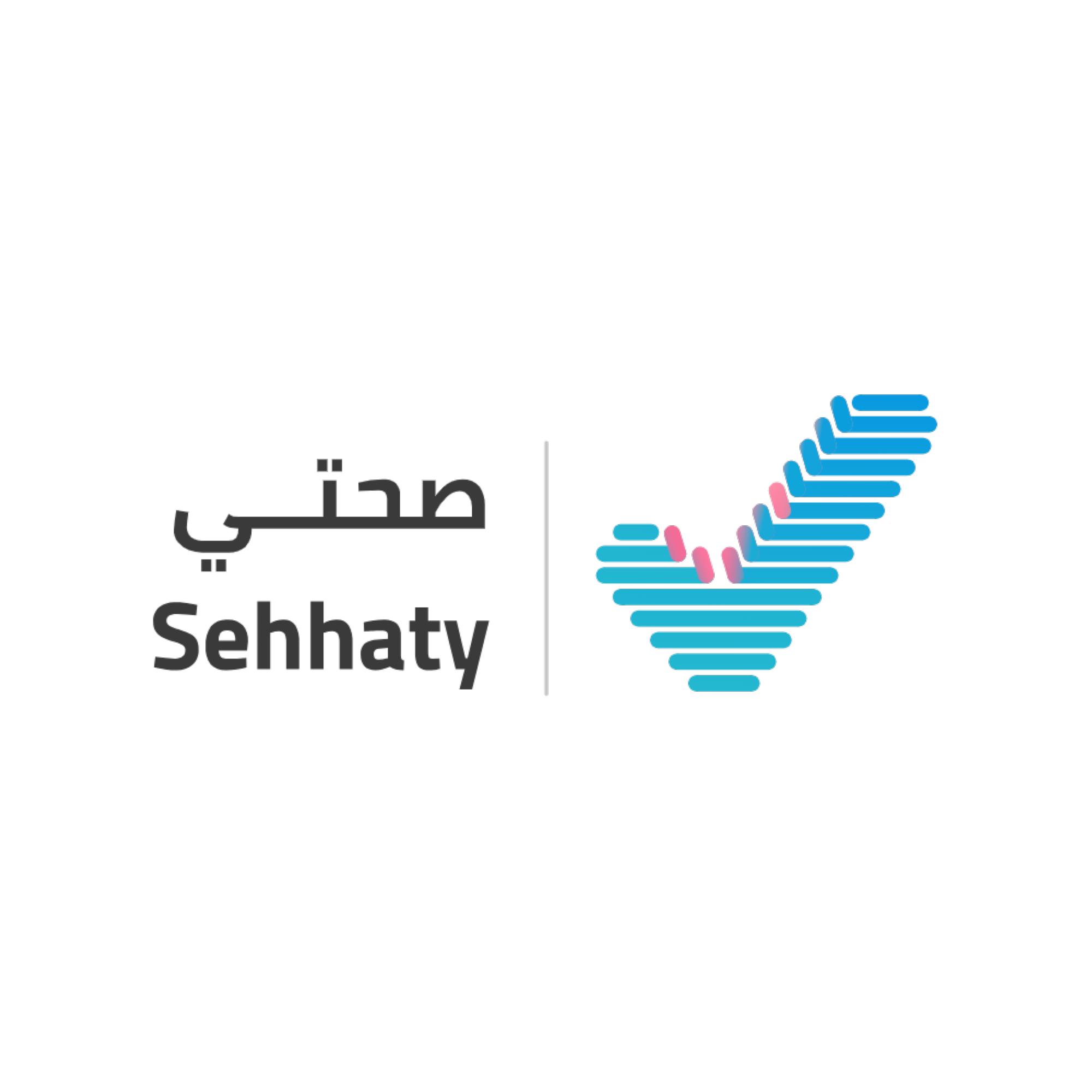 دليلك الشامل لخطوات حجز لقاحات الحج عبر صحتي 1447
